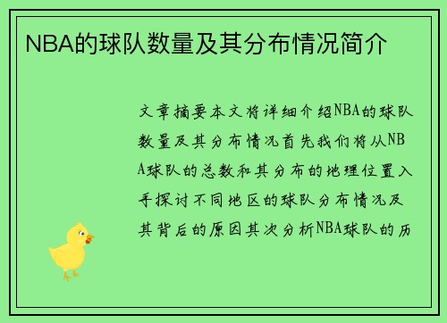 NBA的球队数量及其分布情况简介